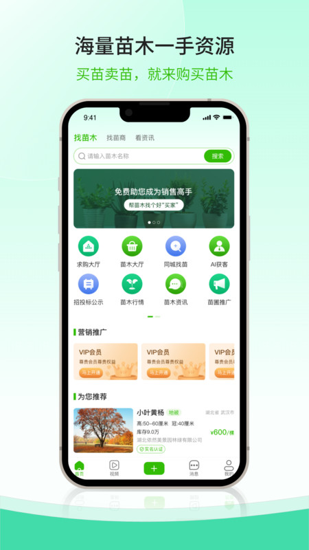 购苗木1