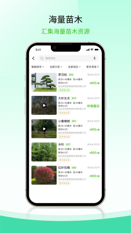 购苗木3