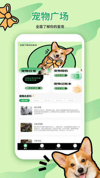 猫狗翻译器免费3