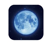 中易