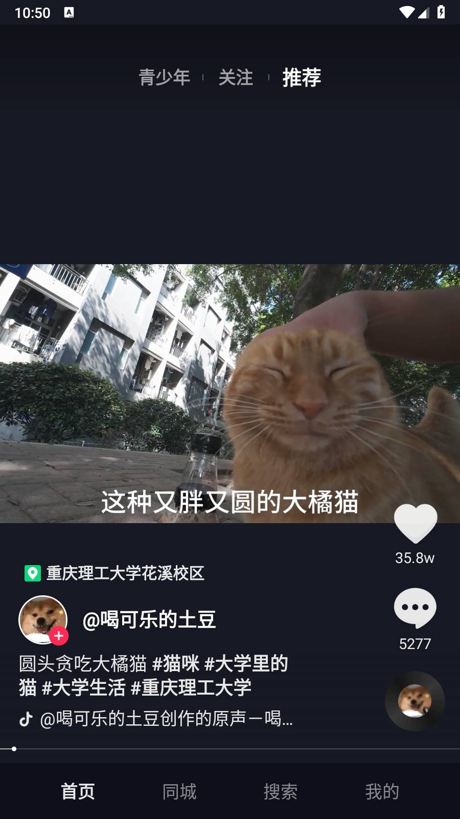 抖音TV小书版4