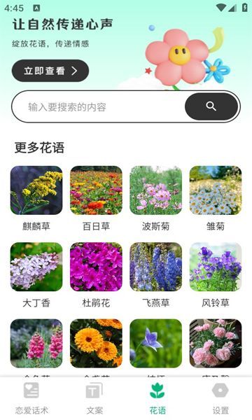 皮蛋聊天4