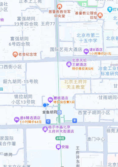 卫星实时免费导航