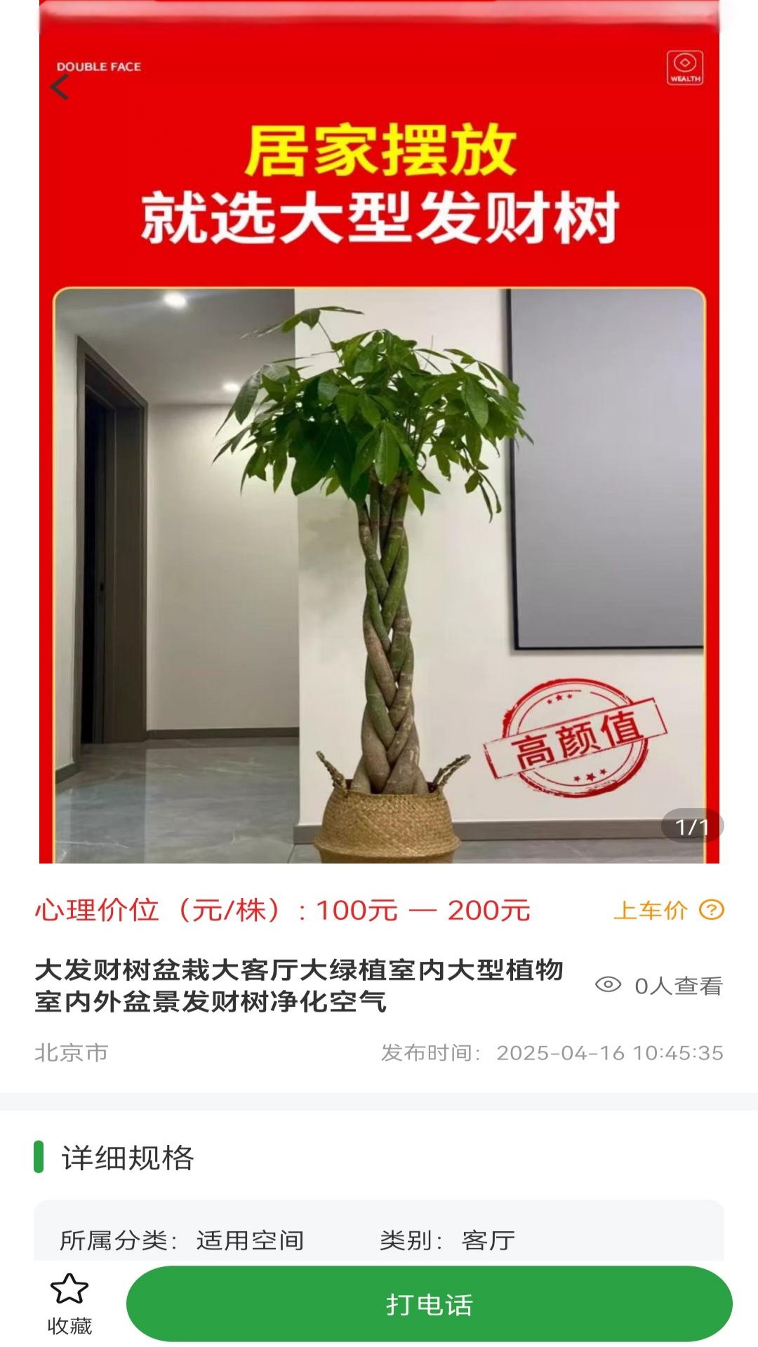 苗木嘉1