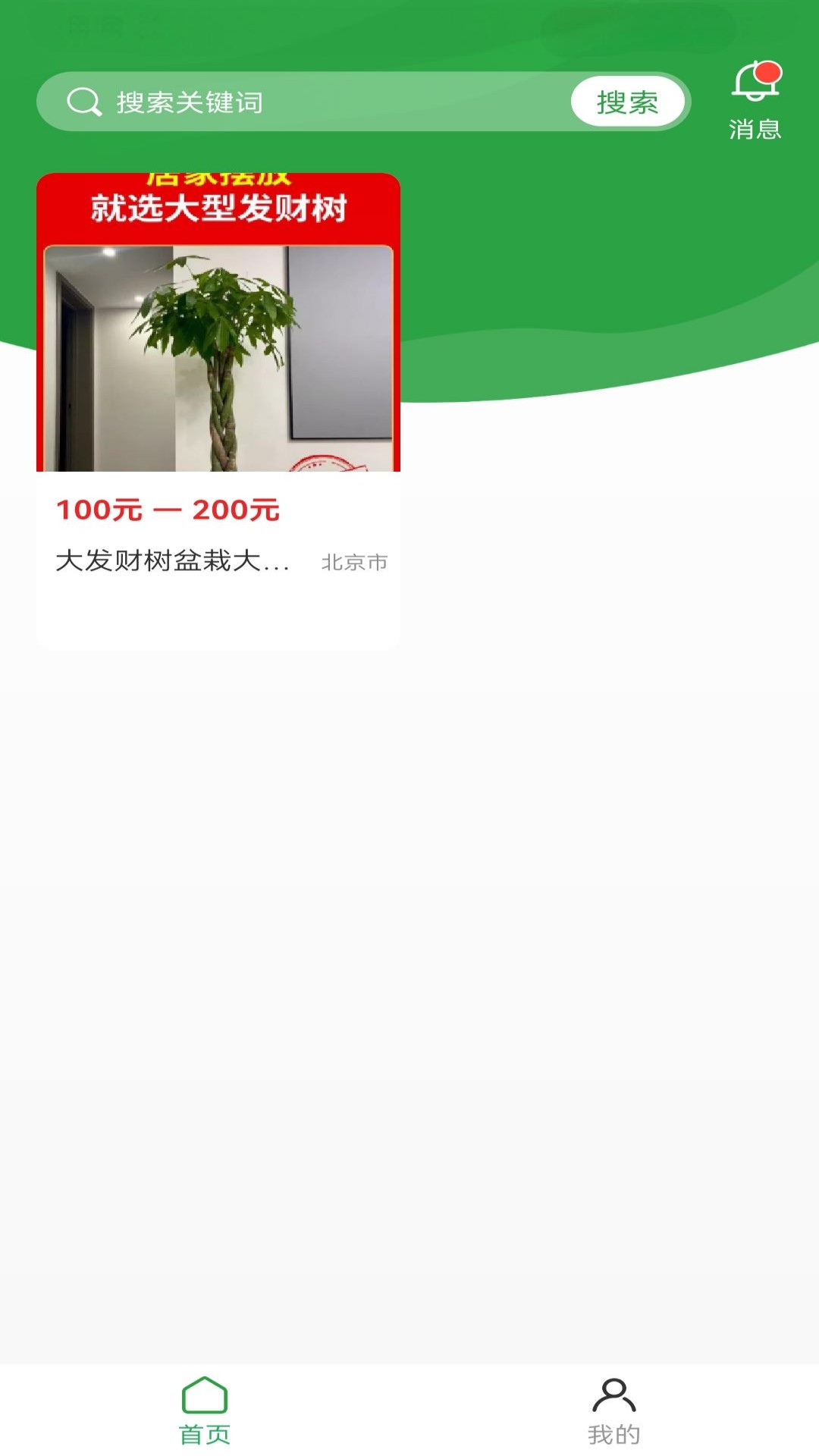 苗木嘉4