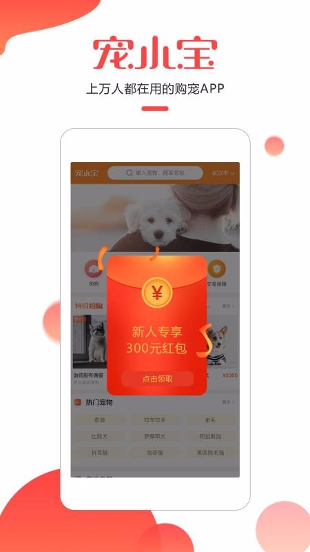 宠小宝1