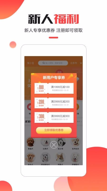 宠小宝2
