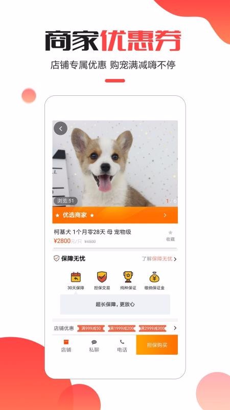 宠小宝3