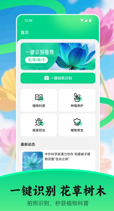 花苞1