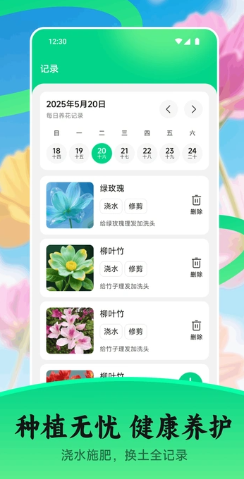 花苞2