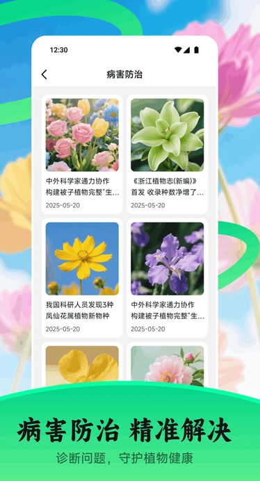 花苞3
