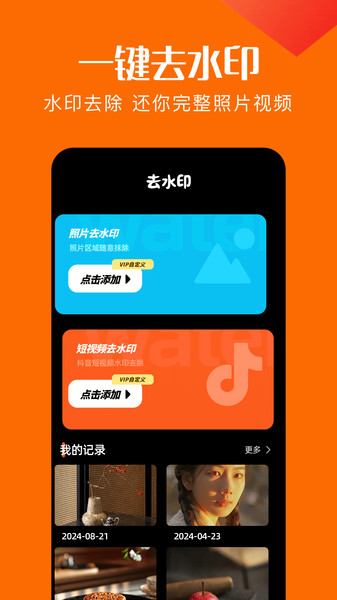 趣鸟1