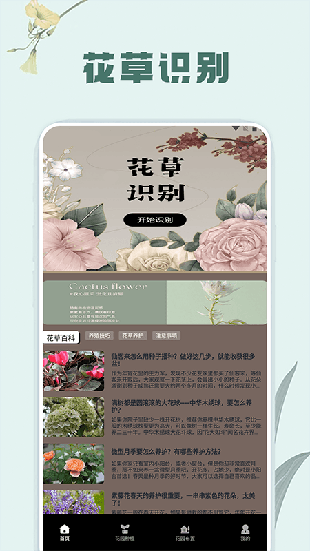 草录植物识别1