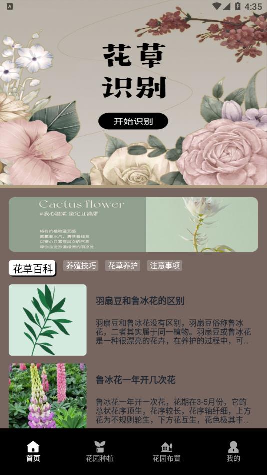 草录植物识别