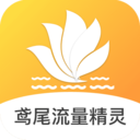鸢尾流量精灵