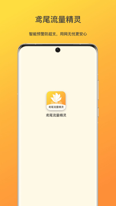 鸢尾流量精灵