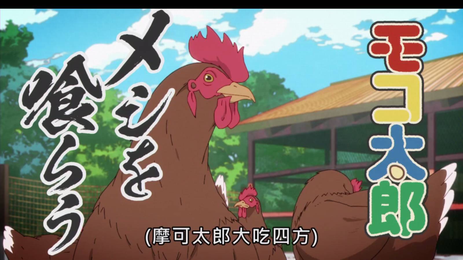 牛哥盒子