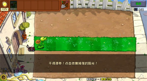 植物大战僵尸杂交重置版