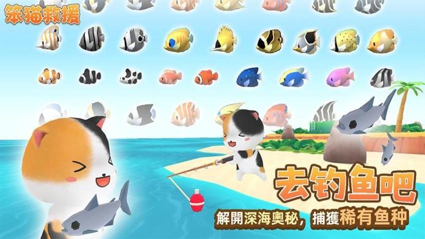 笨猫救援1