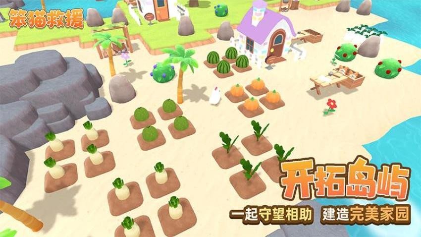 笨猫救援2