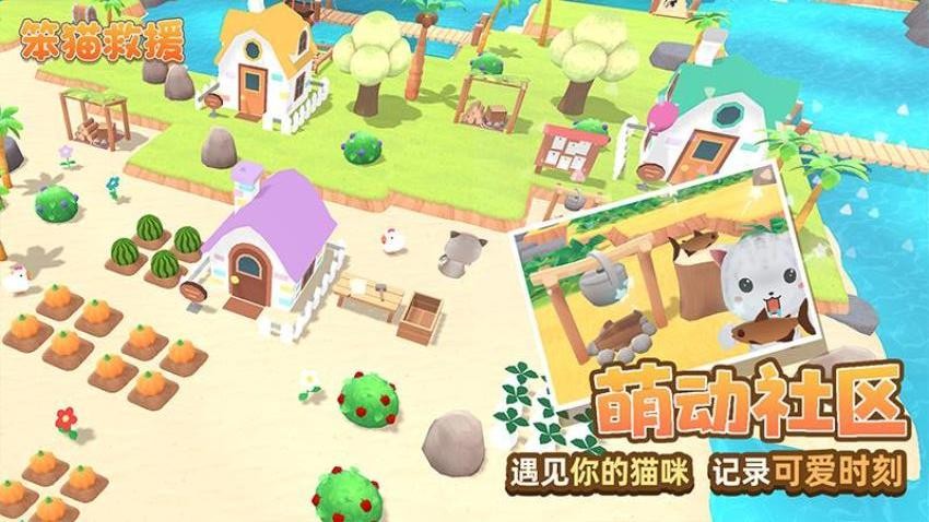 笨猫救援3