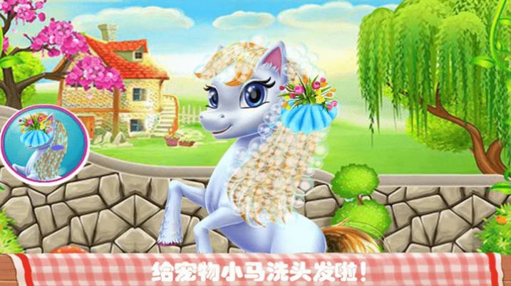 我的宠物化妆美容2