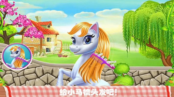 我的宠物化妆美容3