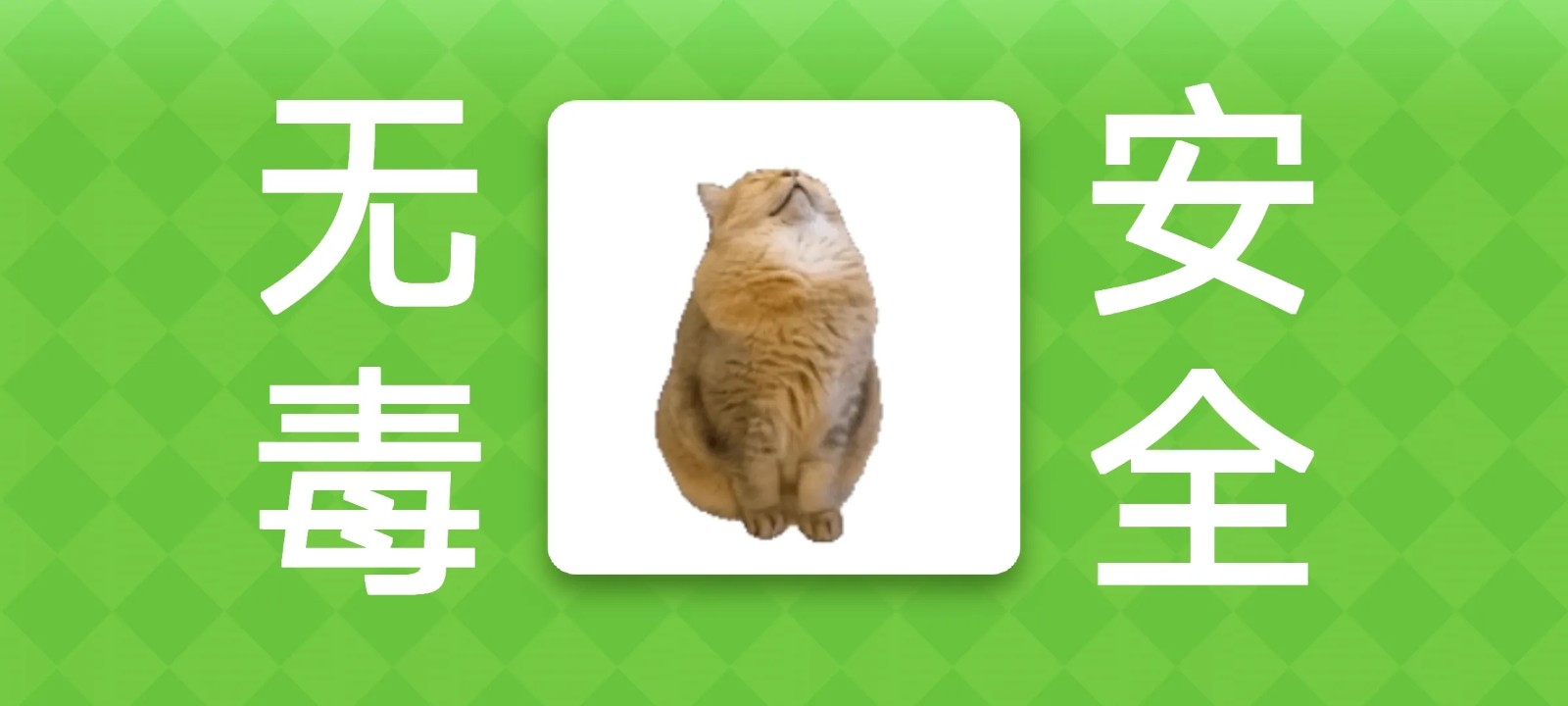 女巫的毒药猫meme版4