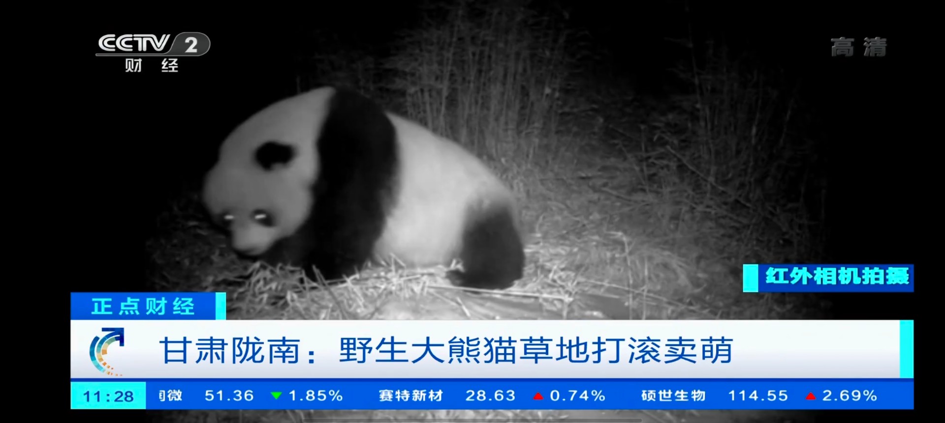 小小TV盒子版1