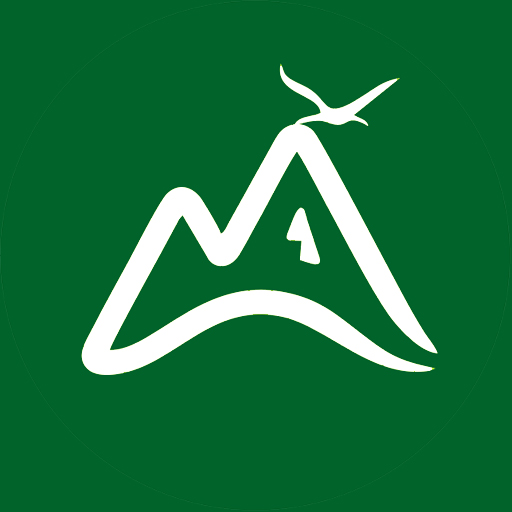 向往野