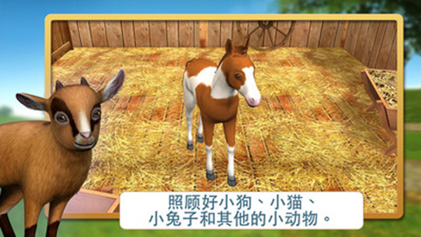 宠物世界3D1