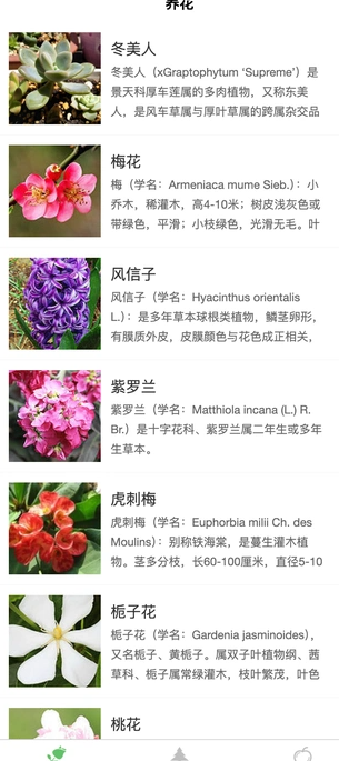 风铭植物3