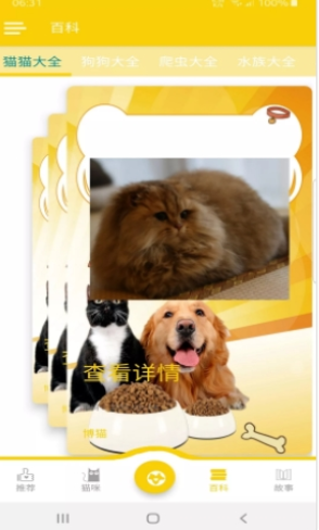 博猫养猫2