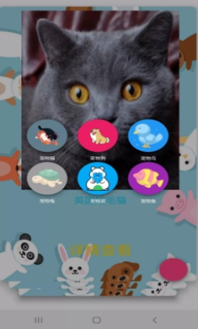 博猫养猫3