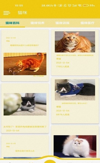 博猫养猫4