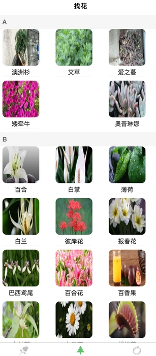绿意守护1