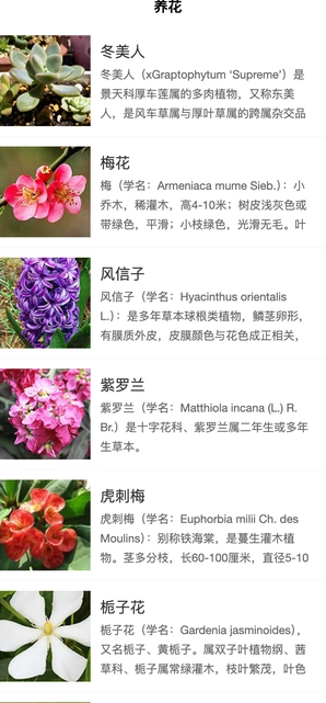 绿意守护2