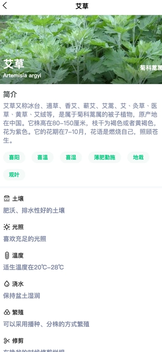 绿意守护3