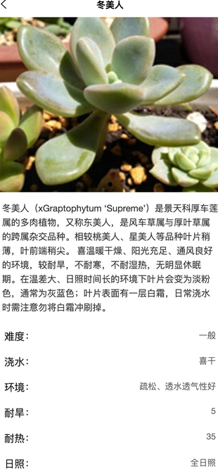 绿意守护4