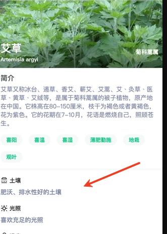 绿意守护