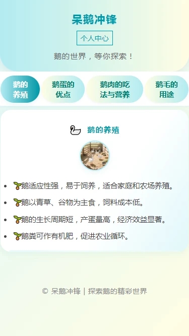 呆鹅冲锋3