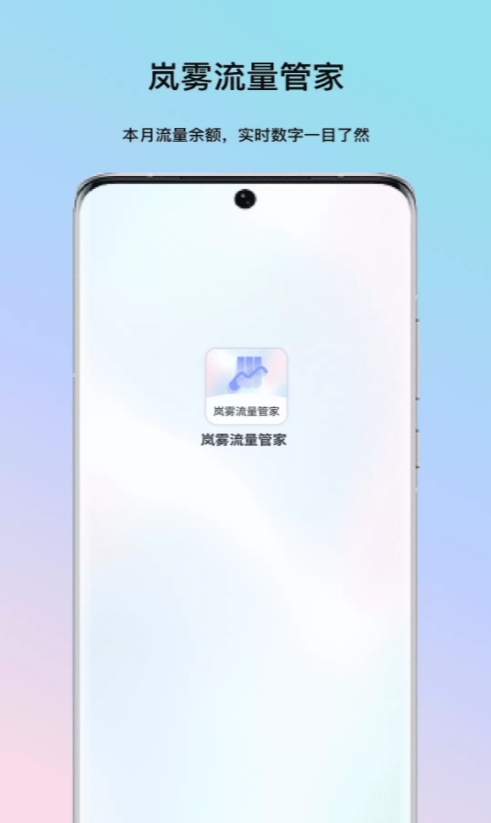 岚雾流量管家2