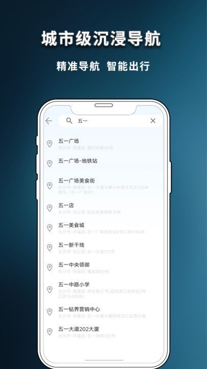 精准实况卫星地图2