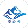 秦岭云