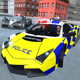 警察公路巡查