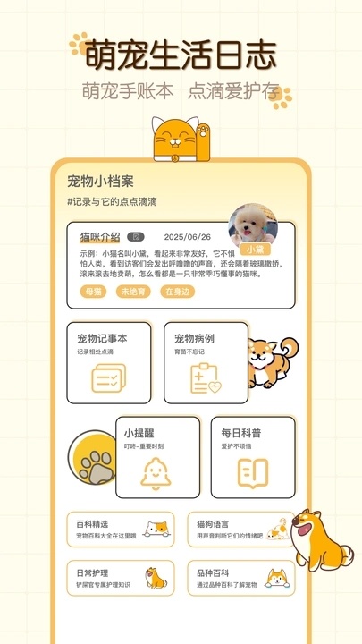 猫狗食谱3