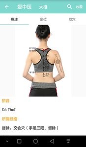 爱中医2