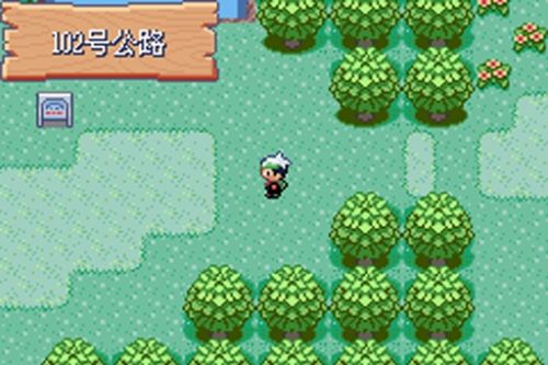 口袋妖怪究极绿宝石全神兽版