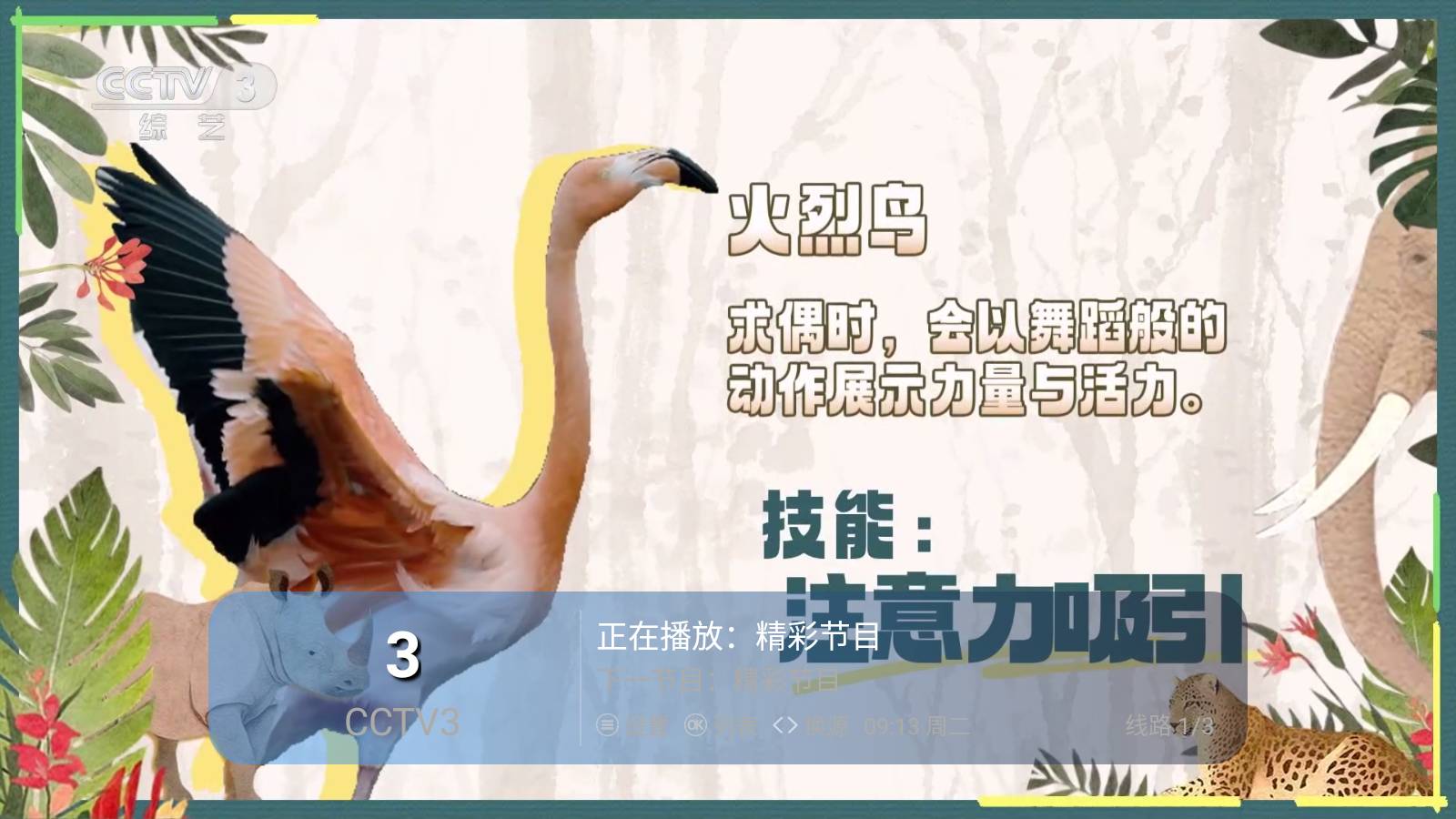 千频直播4