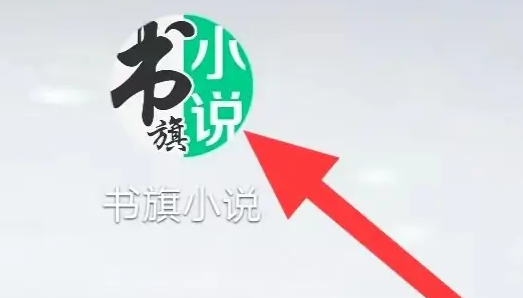 书旗小说